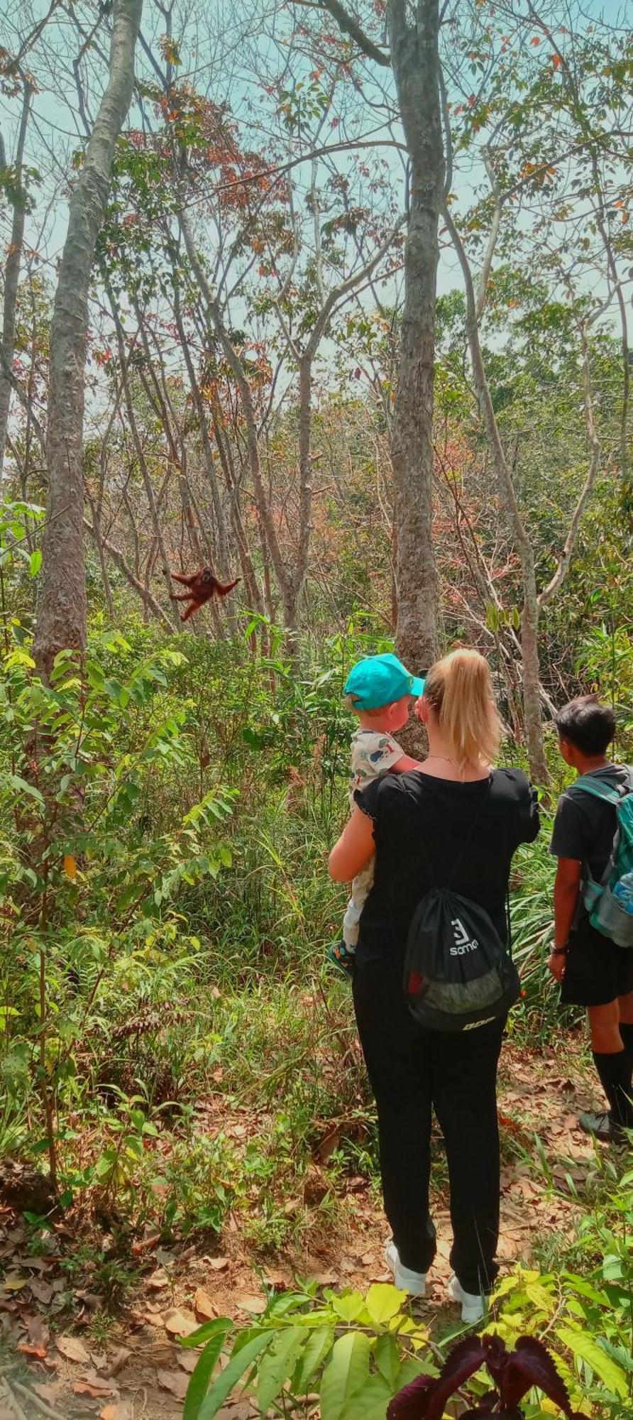 Eco Trekking Lodge, Bar & Jungle Tour'S Bukit Lawang Eksteriør bilde