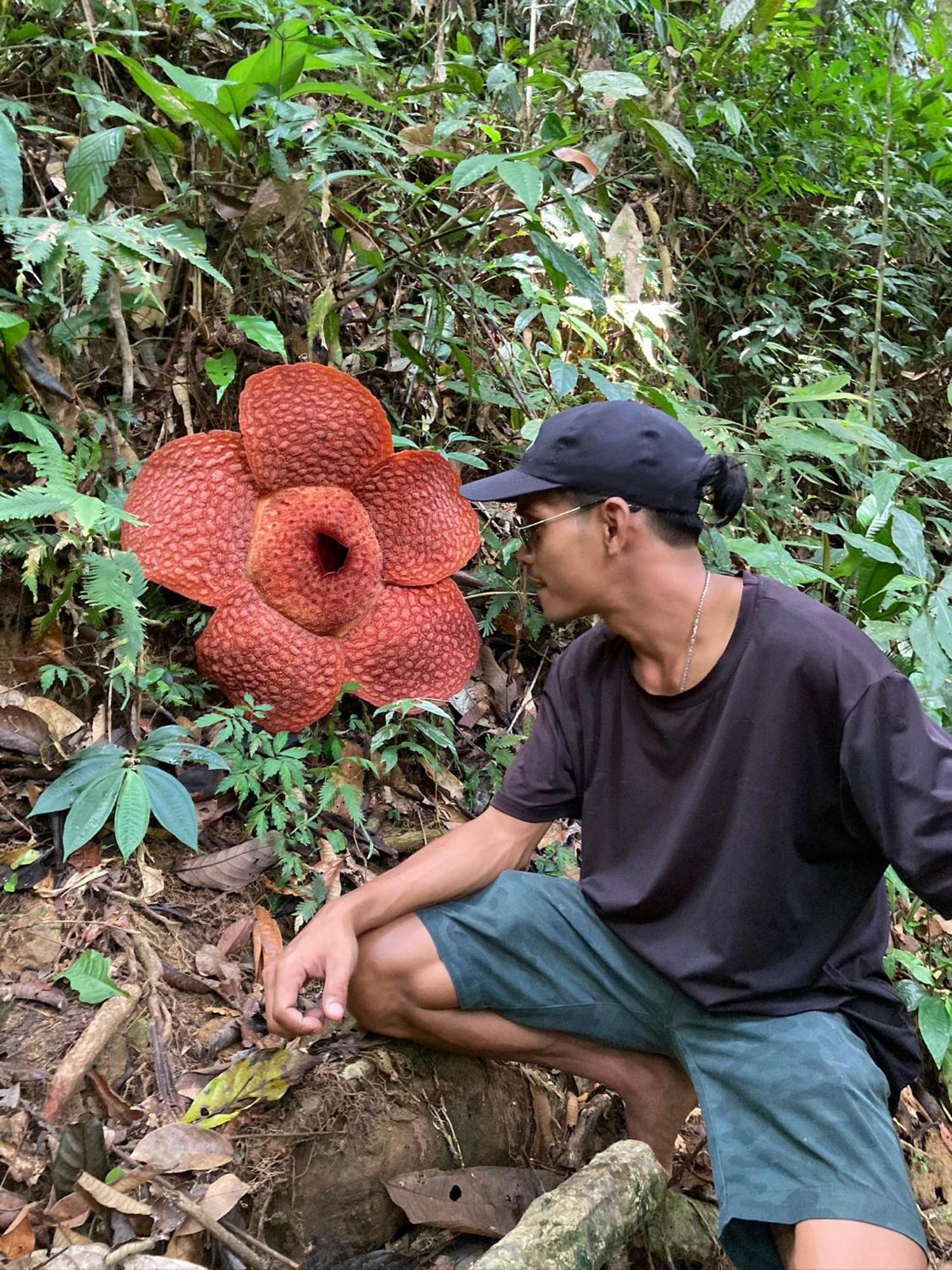 Eco Trekking Lodge, Bar & Jungle Tour'S Bukit Lawang Eksteriør bilde
