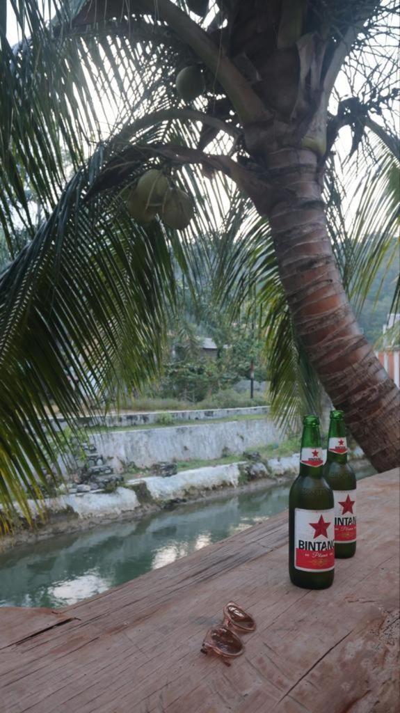 Eco Trekking Lodge, Bar & Jungle Tour'S Bukit Lawang Eksteriør bilde