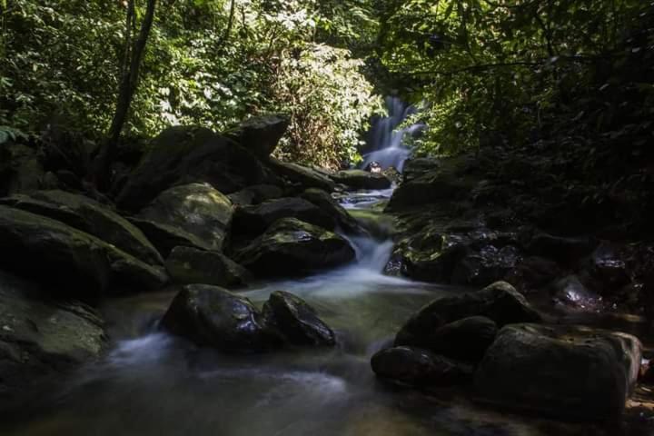 Eco Trekking Lodge, Bar & Jungle Tour'S Bukit Lawang Eksteriør bilde