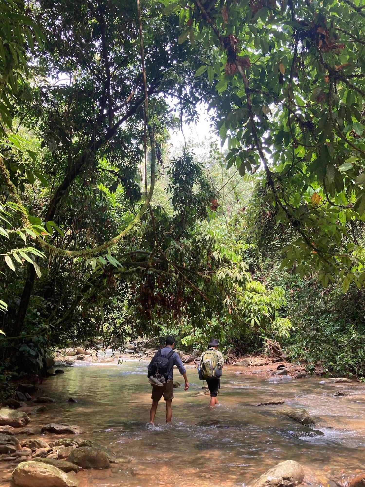 Eco Trekking Lodge, Bar & Jungle Tour'S Bukit Lawang Eksteriør bilde