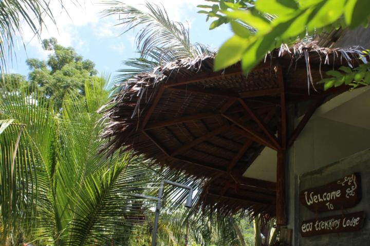 Eco Trekking Lodge, Bar & Jungle Tour'S Bukit Lawang Eksteriør bilde