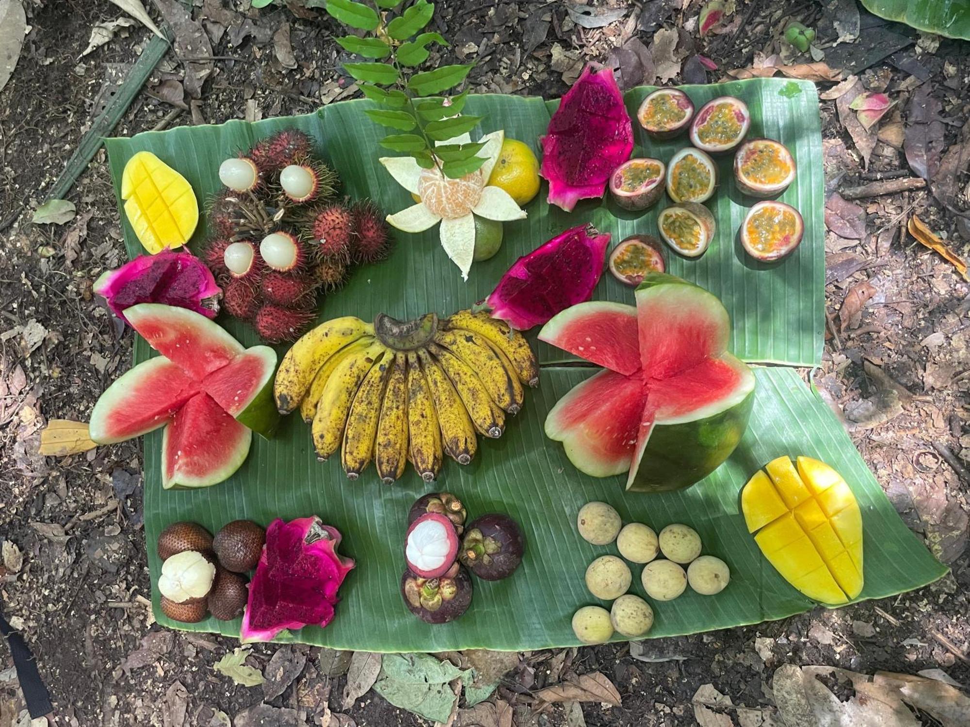 Eco Trekking Lodge, Bar & Jungle Tour'S Bukit Lawang Eksteriør bilde